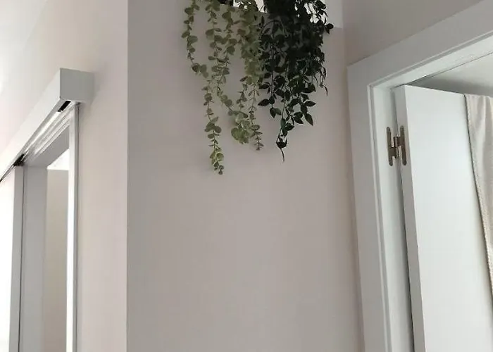 El Rincón De Mi Reina