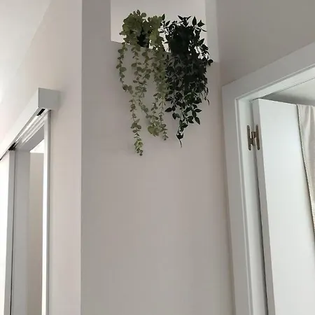 El Rincon De Mi Reina